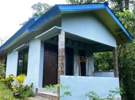Palm Bungalow