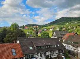 Talblick Saschwalle