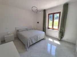 Reale Home