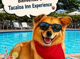 Hotel TACALOA INN EXPERIENCE
