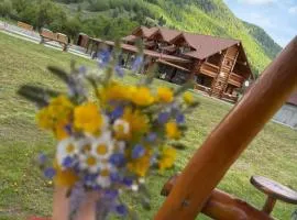Chalet in Muntii Vrancei