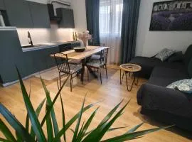 Olive Tree Apartment