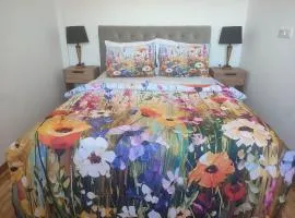 Apartmani Katnic