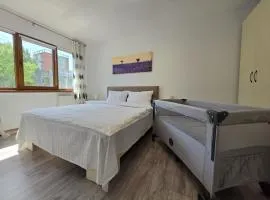 Konstanzer Podu Ros 11 - Spacious Apt - Palas Mall - AC