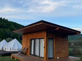 Glamping - Casuta Zen Fiad