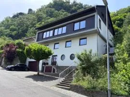 Rheinblick 549 Ferienwohnung in Oberwesel mit Panoramablick auf den Rhein