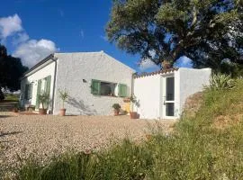 La Liara A house nestled between vineyards and a stream