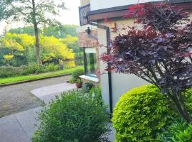 the ring of kerry riverside apartment
