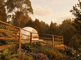 Glamping El Mirador de las estrellas