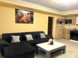 Chic Peak Apartment - Kalinderu Slope & View