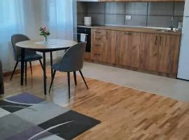 Apartman Sanja Ledine