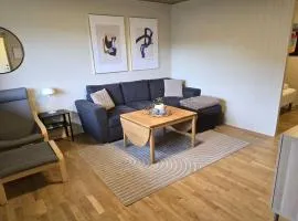 Central apartment