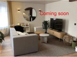 Grand Host Modern Duplex with Balcony Free Parking and near Lake