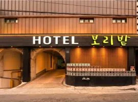 Hotel Barley Field Seoknam