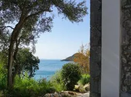 Apartments with parking space Blace, Neretva Delta - Usce Neretve - 27146
