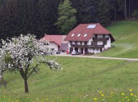 Ferienwohnung Ringwald, lavprishotell i Biederbach Baden-Württemberg