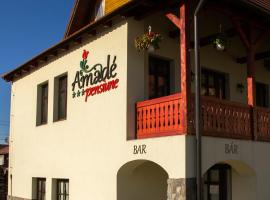 Amadé Pension & Restaurant, hotel in Siculeni