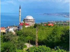 Denizin ve doğanın birleştiği yerde mükemmel bir tatil için mükemmel bir villa 9 yataklı- 4 yatak odalı-3 banyolu-4 klimalı