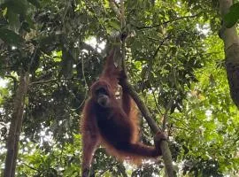Backpackers Jungle Trekking & Guest House