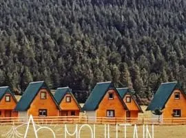Bungalovi TIM 1