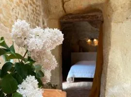 Maison Troglodyte La Hulotte - fraicheur et tranquillité