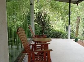 Rain forest freedom Lodge