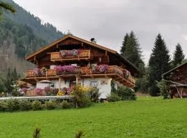 Chalets Dolomiti living