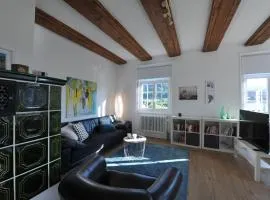Schöne, helle Wohnung in Rheinnähe