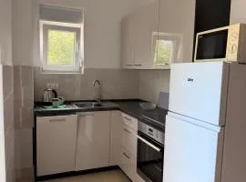 Apartment Nikola