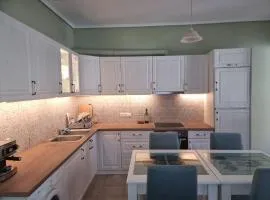 Andros house
