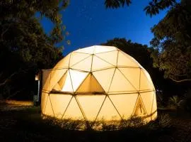 dôme bubble letchis