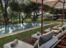 Karongwe - Becks Safari Lodge