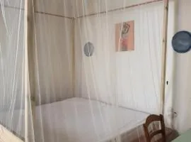 Maison d'exception le pieds dans l'eau au cœur de la ville