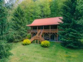 Hidden Serenity Hot Tub Fire Pit minutes from Boone