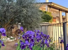 Il Rifugio dorato guest house