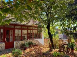 Casa Szatina