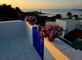 Villa Priene - Gumusluk Private Pool