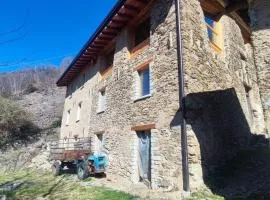 La Baita nel Bosco