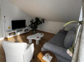 Apartment D&A, hotel di Albbruck