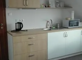 Malý pokoj s kuchyňkou blízko centra