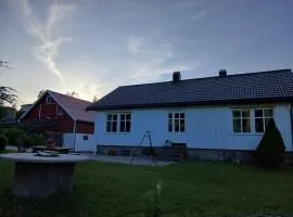 Farmhouses in Finsland