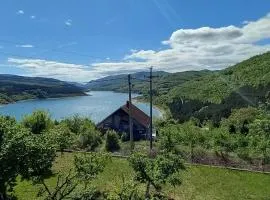 Apartmani Vlatkovic 1 Zavojsko jezero