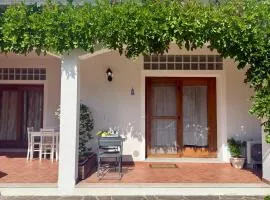 Luciana House