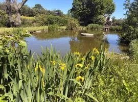 1 Bed in Deeside oc-86711