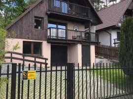 Kretowiny - domek REDA