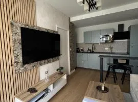 Appartement neuf & élégant- Centre Lorient