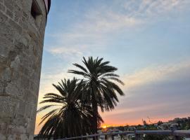 A medieval windmill tower 2bedrooms in the heart of old town with magnificent panoramic seaview and cityview, hotel sa Rhodes Town