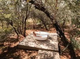 The Beehive Cabin
