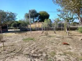 Las Moras