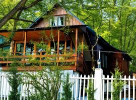 Wooden House in Kiketi – hotel w mieście Kiketʼi